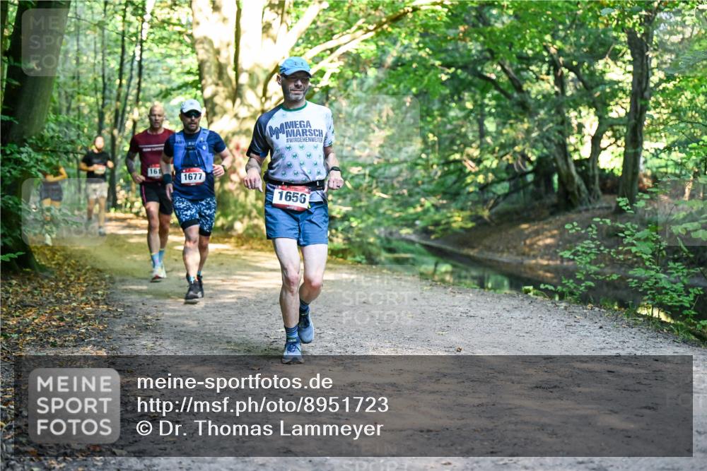 28.09.2025 - 33. Volkslauf durch das schöne Alstertal Dr. Thomas Lammeyer http://msf.ph/oto/8951723 28.09.2025 10:19:05 Laufen 161, 1677, 1656 meine-sportfotos.de