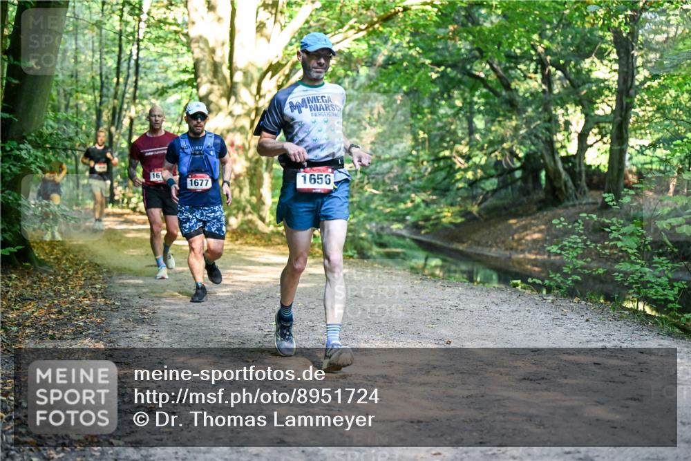 28.09.2025 - 33. Volkslauf durch das schöne Alstertal Dr. Thomas Lammeyer http://msf.ph/oto/8951724 28.09.2025 10:19:05 Laufen 16, 1677, 1656 meine-sportfotos.de