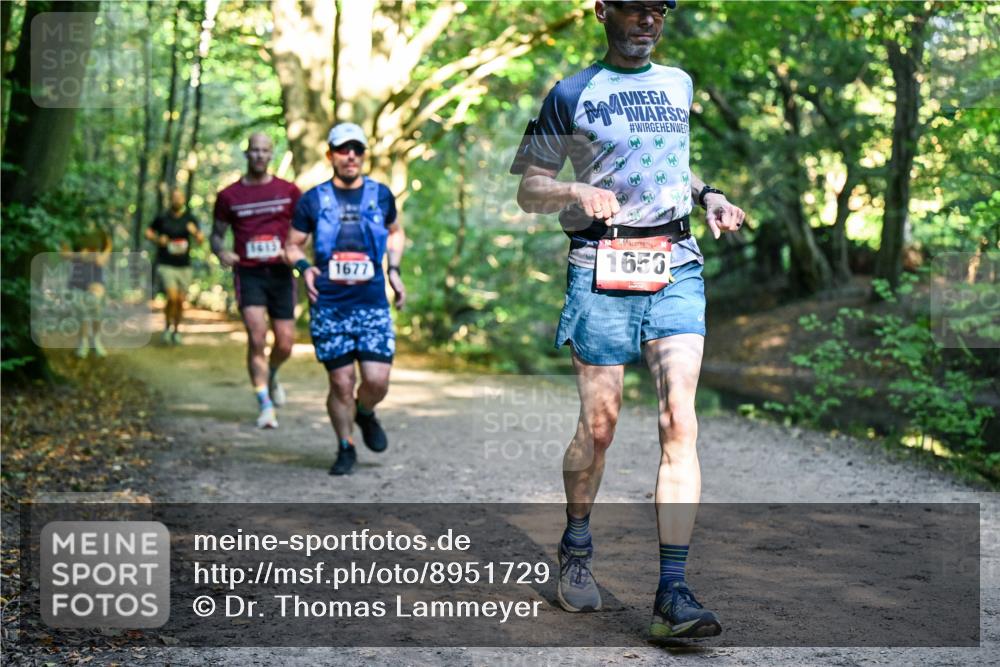 28.09.2025 - 33. Volkslauf durch das schöne Alstertal Dr. Thomas Lammeyer http://msf.ph/oto/8951729 28.09.2025 10:19:06 Laufen 1613, 1677, 1653 meine-sportfotos.de