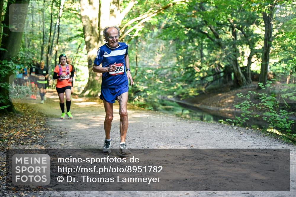 28.09.2025 - 33. Volkslauf durch das schöne Alstertal Dr. Thomas Lammeyer http://msf.ph/oto/8951782 28.09.2025 10:19:16 Laufen 1025, 855 meine-sportfotos.de