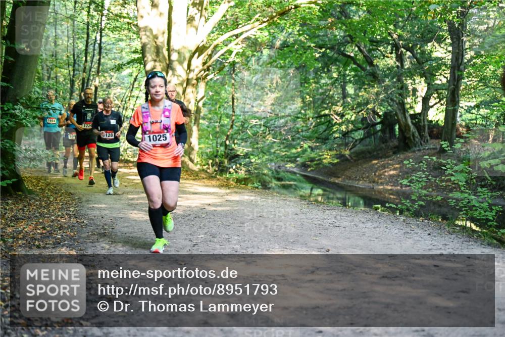 28.09.2025 - 33. Volkslauf durch das schöne Alstertal Dr. Thomas Lammeyer http://msf.ph/oto/8951793 28.09.2025 10:19:18 Laufen 1654, 1729, 128, 1025 meine-sportfotos.de