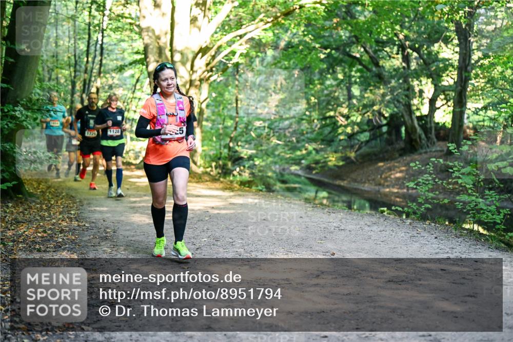 28.09.2025 - 33. Volkslauf durch das schöne Alstertal Dr. Thomas Lammeyer http://msf.ph/oto/8951794 28.09.2025 10:19:18 Laufen 1729, 1128 meine-sportfotos.de