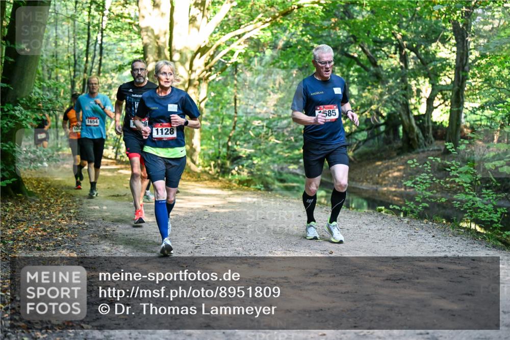 28.09.2025 - 33. Volkslauf durch das schöne Alstertal Dr. Thomas Lammeyer http://msf.ph/oto/8951809 28.09.2025 10:19:20 Laufen 1654, 1128, 585 meine-sportfotos.de