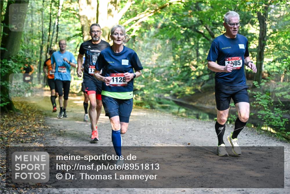 28.09.2025 - 33. Volkslauf durch das schöne Alstertal Dr. Thomas Lammeyer http://msf.ph/oto/8951813 28.09.2025 10:19:21 Laufen 1654, 17, 1128, 585 meine-sportfotos.de