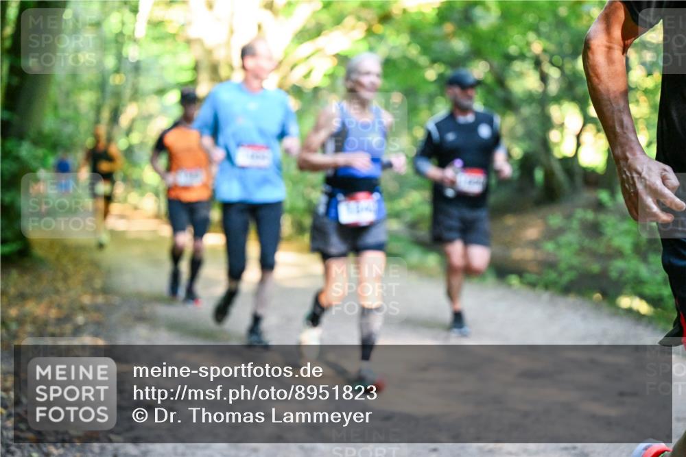 28.09.2025 - 33. Volkslauf durch das schöne Alstertal Dr. Thomas Lammeyer http://msf.ph/oto/8951823 28.09.2025 10:19:23 Laufen  meine-sportfotos.de
