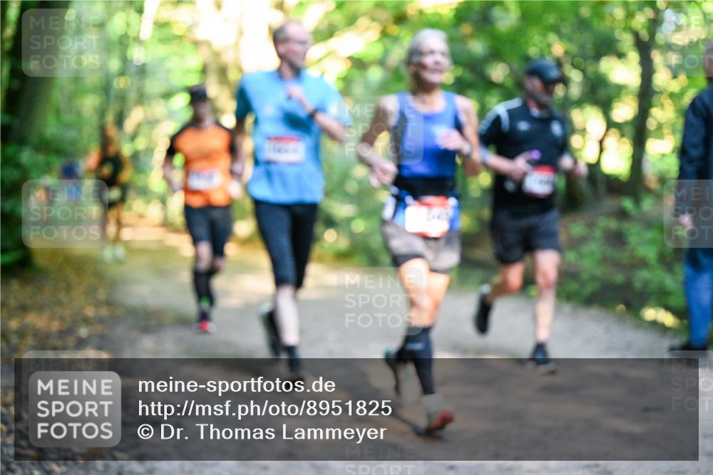 28.09.2025 - 33. Volkslauf durch das schöne Alstertal Dr. Thomas Lammeyer http://msf.ph/oto/8951825 28.09.2025 10:19:23 Laufen  meine-sportfotos.de