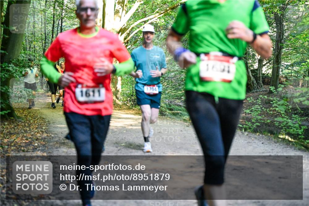 28.09.2025 - 33. Volkslauf durch das schöne Alstertal Dr. Thomas Lammeyer http://msf.ph/oto/8951879 28.09.2025 10:19:33 Laufen 1611, 1704, 1691 meine-sportfotos.de