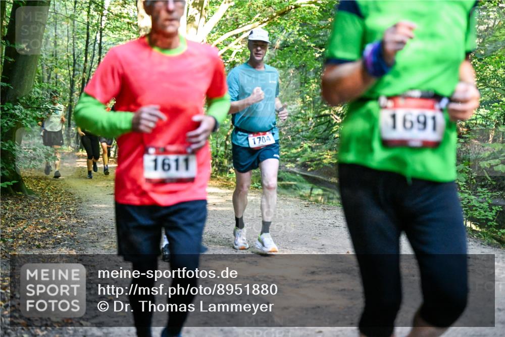 28.09.2025 - 33. Volkslauf durch das schöne Alstertal Dr. Thomas Lammeyer http://msf.ph/oto/8951880 28.09.2025 10:19:33 Laufen 1611, 1704, 1691 meine-sportfotos.de