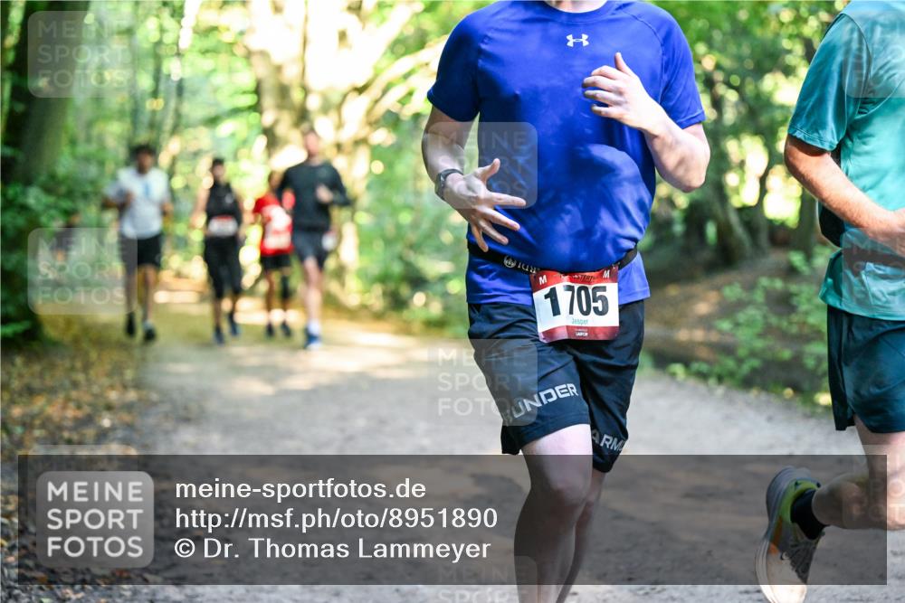 28.09.2025 - 33. Volkslauf durch das schöne Alstertal Dr. Thomas Lammeyer http://msf.ph/oto/8951890 28.09.2025 10:19:35 Laufen 1705 meine-sportfotos.de