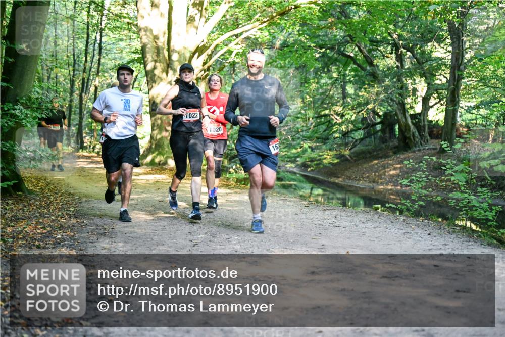 28.09.2025 - 33. Volkslauf durch das schöne Alstertal Dr. Thomas Lammeyer http://msf.ph/oto/8951900 28.09.2025 10:19:36 Laufen 1623, 30, 2024, 1022, 1020, 16, 3 meine-sportfotos.de