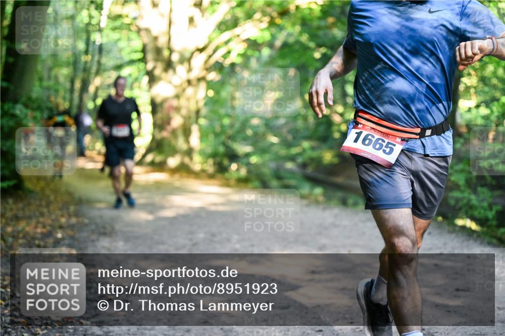 28.09.2025 - 33. Volkslauf durch das schöne Alstertal Dr. Thomas Lammeyer http://msf.ph/oto/8951923 28.09.2025 10:19:40 Laufen 1665 meine-sportfotos.de