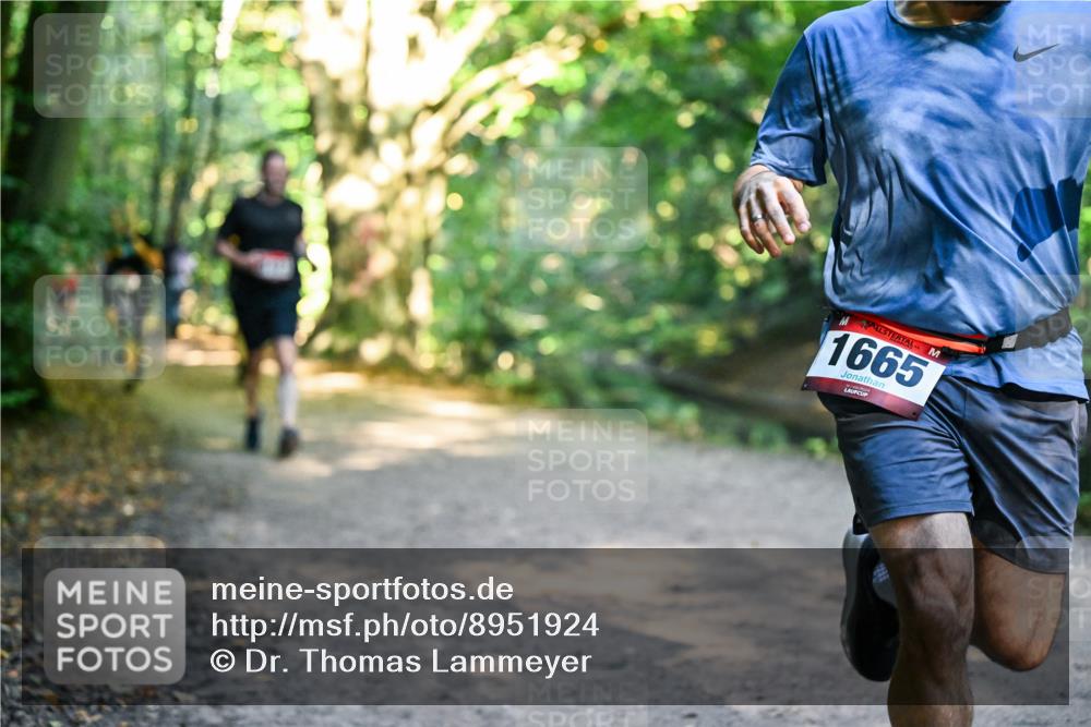 28.09.2025 - 33. Volkslauf durch das schöne Alstertal Dr. Thomas Lammeyer http://msf.ph/oto/8951924 28.09.2025 10:19:40 Laufen 1665 meine-sportfotos.de