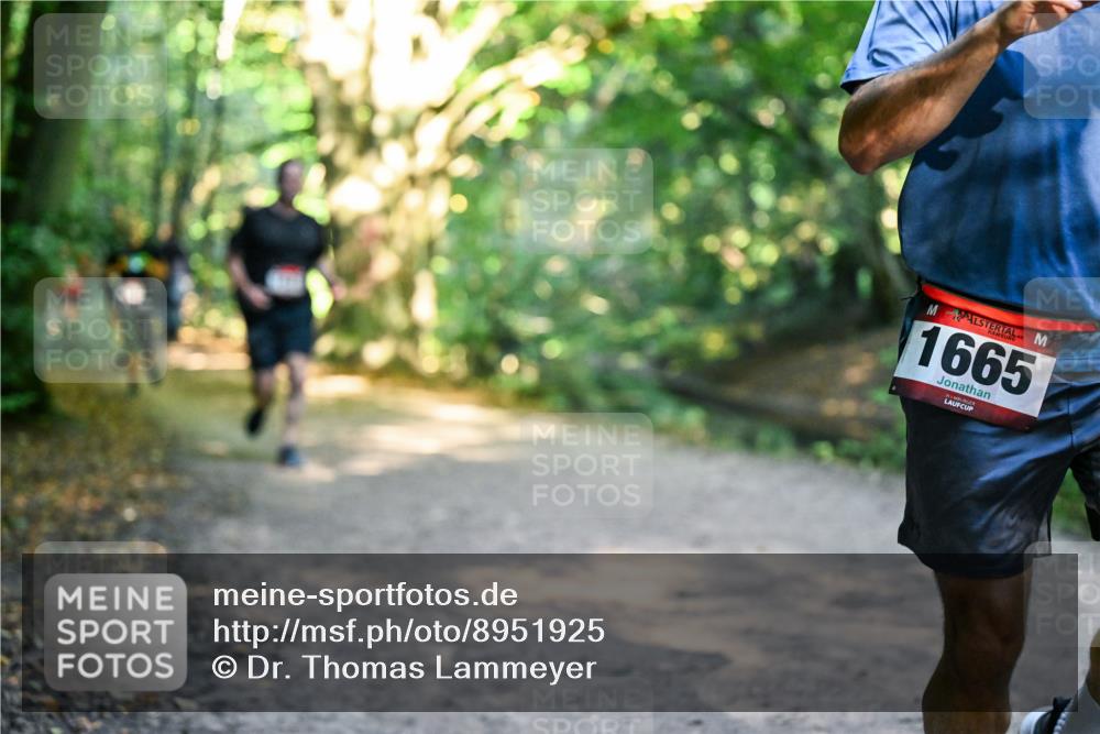28.09.2025 - 33. Volkslauf durch das schöne Alstertal Dr. Thomas Lammeyer http://msf.ph/oto/8951925 28.09.2025 10:19:40 Laufen 1665 meine-sportfotos.de