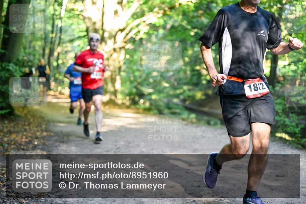 28.09.2025 - 33. Volkslauf durch das schöne Alstertal Dr. Thomas Lammeyer http://msf.ph/oto/8951960 28.09.2025 10:19:47 Laufen 1812 meine-sportfotos.de
