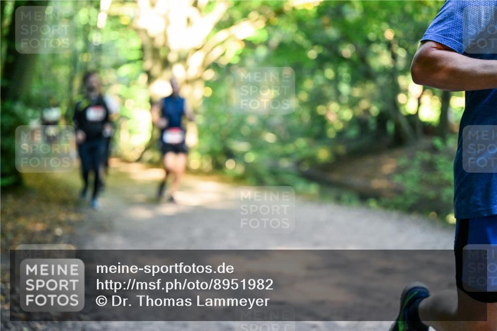 28.09.2025 - 33. Volkslauf durch das schöne Alstertal Dr. Thomas Lammeyer http://msf.ph/oto/8951982 28.09.2025 10:19:51 Laufen  meine-sportfotos.de