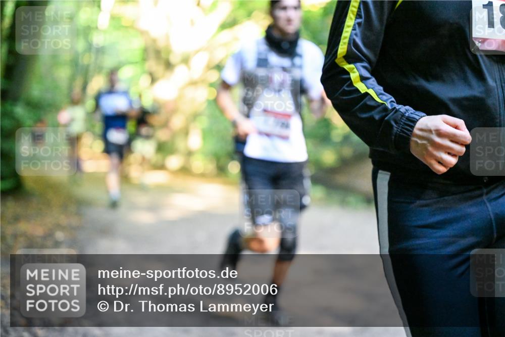 28.09.2025 - 33. Volkslauf durch das schöne Alstertal Dr. Thomas Lammeyer http://msf.ph/oto/8952006 28.09.2025 10:19:55 Laufen 18 meine-sportfotos.de
