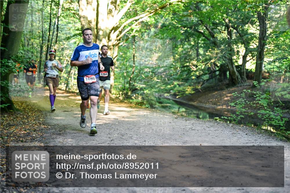 28.09.2025 - 33. Volkslauf durch das schöne Alstertal Dr. Thomas Lammeyer http://msf.ph/oto/8952011 28.09.2025 10:19:56 Laufen 1664, 1134, 1680, 1764 meine-sportfotos.de