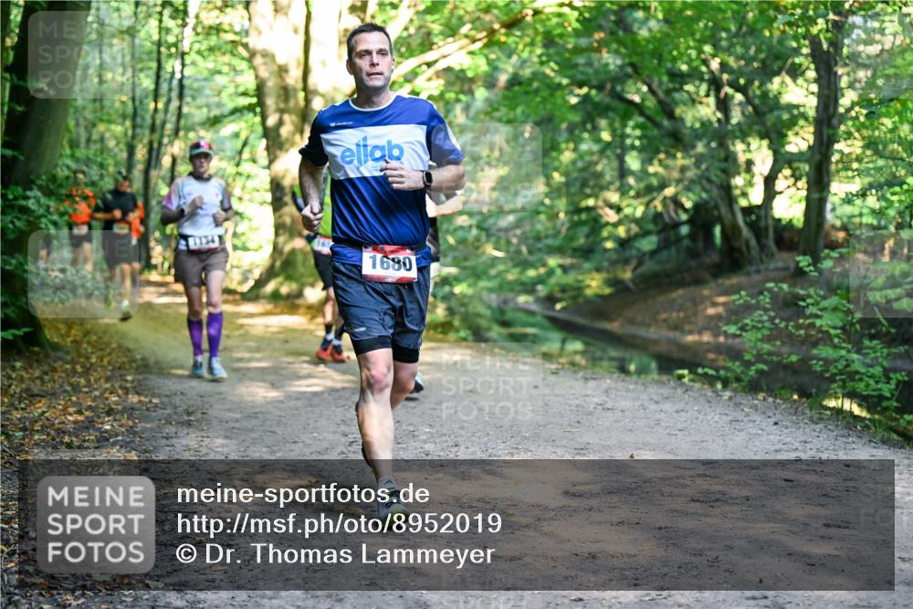 28.09.2025 - 33. Volkslauf durch das schöne Alstertal Dr. Thomas Lammeyer http://msf.ph/oto/8952019 28.09.2025 10:19:57 Laufen 1134, 1680 meine-sportfotos.de