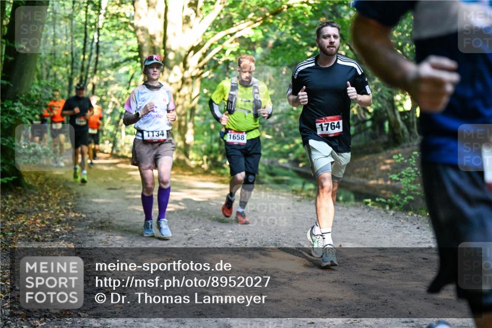 28.09.2025 - 33. Volkslauf durch das schöne Alstertal Dr. Thomas Lammeyer http://msf.ph/oto/8952027 28.09.2025 10:19:58 Laufen 1134, 1764, 1658 meine-sportfotos.de