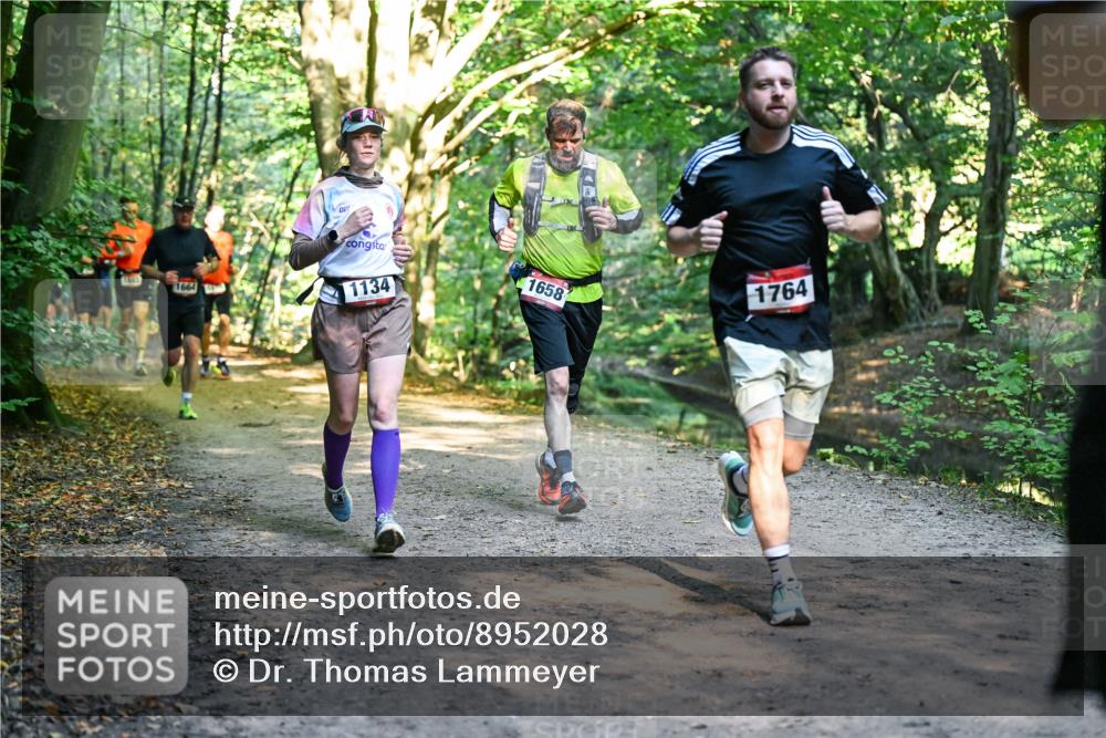 28.09.2025 - 33. Volkslauf durch das schöne Alstertal Dr. Thomas Lammeyer http://msf.ph/oto/8952028 28.09.2025 10:19:59 Laufen 1664, 1134, 1658, 1764 meine-sportfotos.de