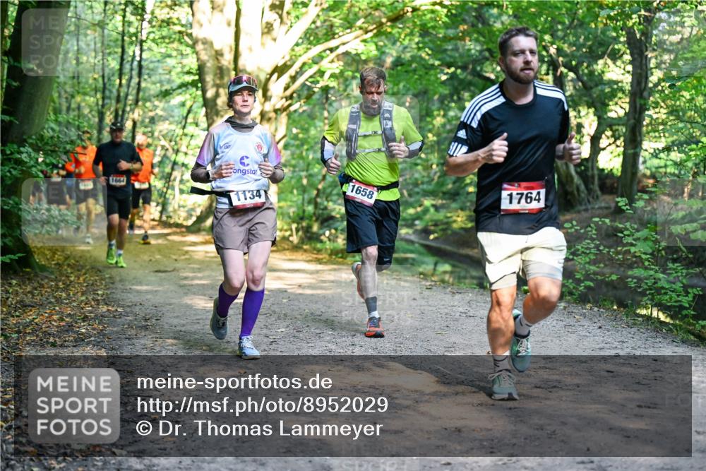 28.09.2025 - 33. Volkslauf durch das schöne Alstertal Dr. Thomas Lammeyer http://msf.ph/oto/8952029 28.09.2025 10:19:59 Laufen 1664, 1134, 1658, 1764 meine-sportfotos.de