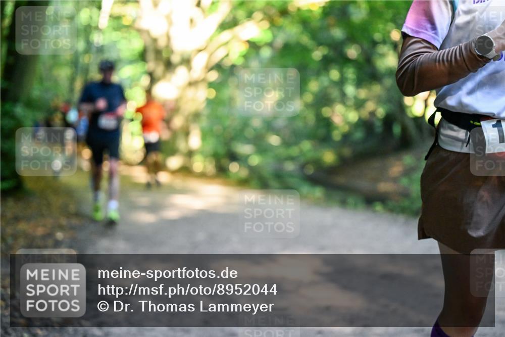 28.09.2025 - 33. Volkslauf durch das schöne Alstertal Dr. Thomas Lammeyer http://msf.ph/oto/8952044 28.09.2025 10:20:01 Laufen 1 meine-sportfotos.de