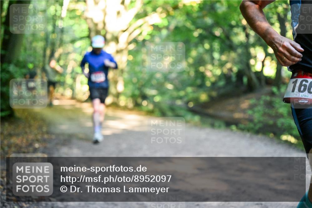28.09.2025 - 33. Volkslauf durch das schöne Alstertal Dr. Thomas Lammeyer http://msf.ph/oto/8952097 28.09.2025 10:20:10 Laufen 160 meine-sportfotos.de
