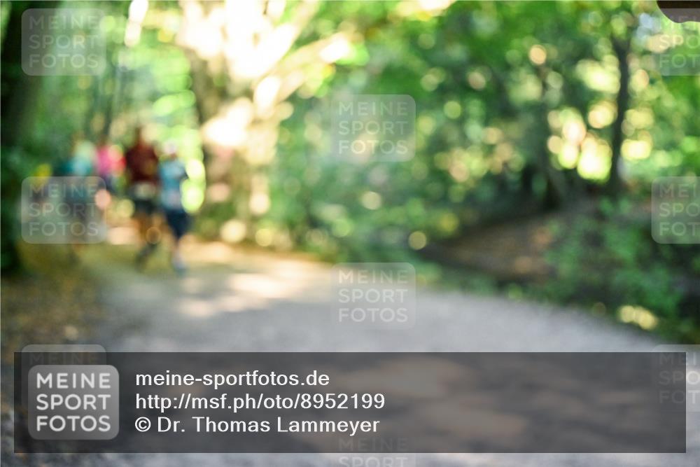 28.09.2025 - 33. Volkslauf durch das schöne Alstertal Dr. Thomas Lammeyer http://msf.ph/oto/8952199 28.09.2025 10:20:41 Laufen  meine-sportfotos.de