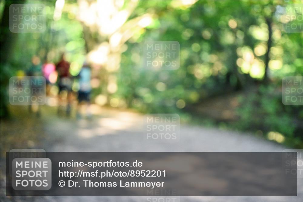 28.09.2025 - 33. Volkslauf durch das schöne Alstertal Dr. Thomas Lammeyer http://msf.ph/oto/8952201 28.09.2025 10:20:41 Laufen  meine-sportfotos.de