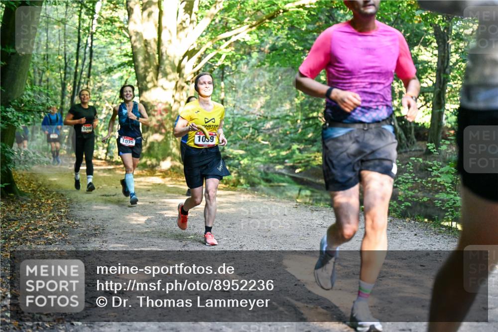 28.09.2025 - 33. Volkslauf durch das schöne Alstertal Dr. Thomas Lammeyer http://msf.ph/oto/8952236 28.09.2025 10:20:48 Laufen 1099, 1035, 10, 9 meine-sportfotos.de