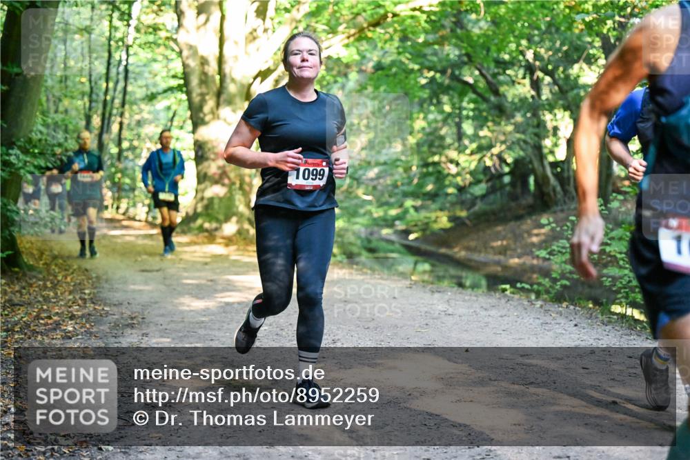 28.09.2025 - 33. Volkslauf durch das schöne Alstertal Dr. Thomas Lammeyer http://msf.ph/oto/8952259 28.09.2025 10:20:51 Laufen 1099 meine-sportfotos.de