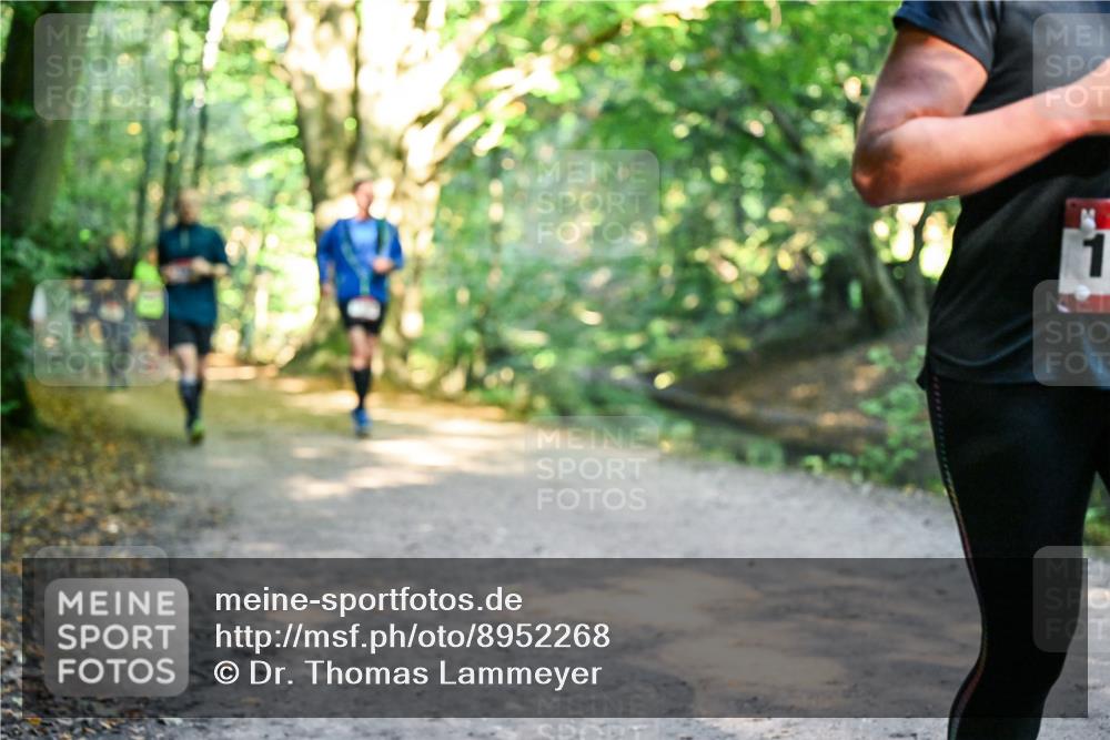 28.09.2025 - 33. Volkslauf durch das schöne Alstertal Dr. Thomas Lammeyer http://msf.ph/oto/8952268 28.09.2025 10:20:53 Laufen 1 meine-sportfotos.de