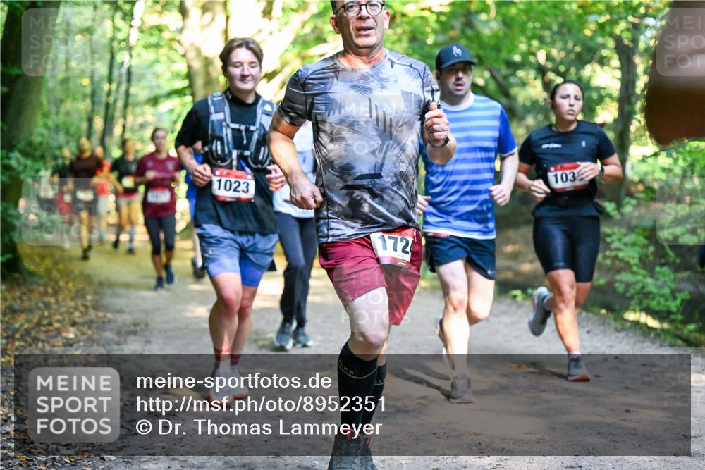 28.09.2025 - 33. Volkslauf durch das schöne Alstertal Dr. Thomas Lammeyer http://msf.ph/oto/8952351 28.09.2025 10:21:10 Laufen 1023, 172, 1036 meine-sportfotos.de