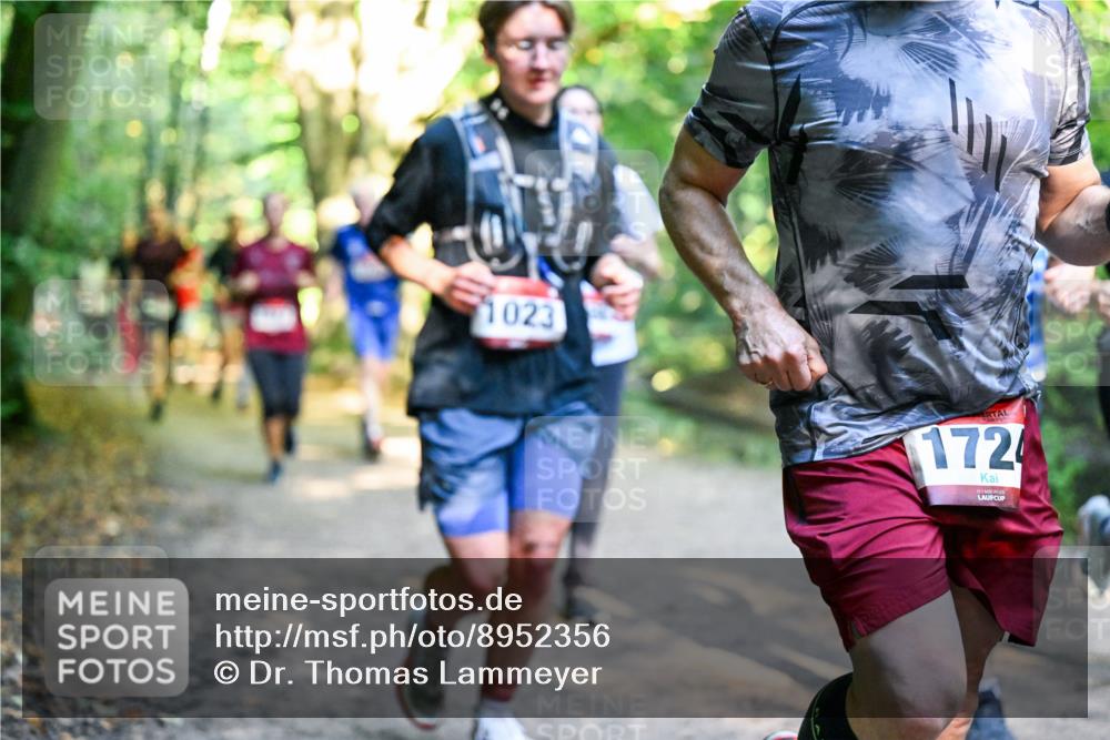 28.09.2025 - 33. Volkslauf durch das schöne Alstertal Dr. Thomas Lammeyer http://msf.ph/oto/8952356 28.09.2025 10:21:10 Laufen 1023, 172 meine-sportfotos.de