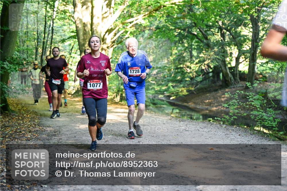28.09.2025 - 33. Volkslauf durch das schöne Alstertal Dr. Thomas Lammeyer http://msf.ph/oto/8952363 28.09.2025 10:21:12 Laufen 1710, 19, 1077, 1728 meine-sportfotos.de