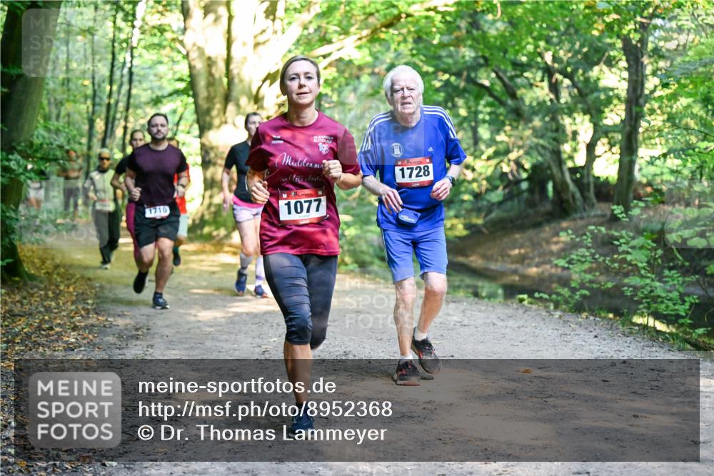 28.09.2025 - 33. Volkslauf durch das schöne Alstertal Dr. Thomas Lammeyer http://msf.ph/oto/8952368 28.09.2025 10:21:12 Laufen 30, 3, 1077, 1728, 1710 meine-sportfotos.de