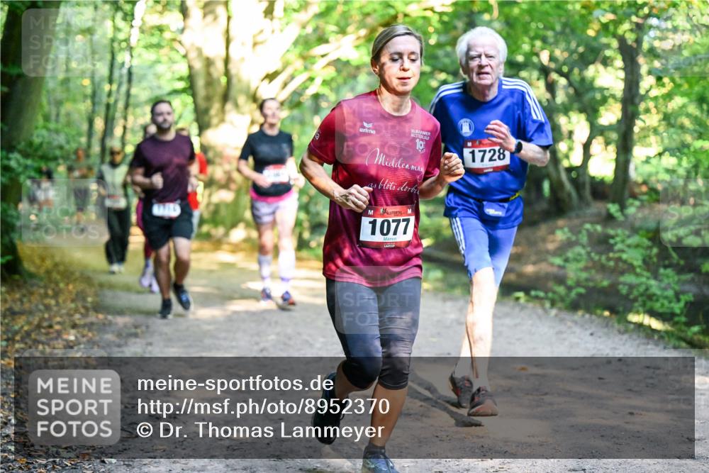 28.09.2025 - 33. Volkslauf durch das schöne Alstertal Dr. Thomas Lammeyer http://msf.ph/oto/8952370 28.09.2025 10:21:13 Laufen 30, 1077, 1728 meine-sportfotos.de