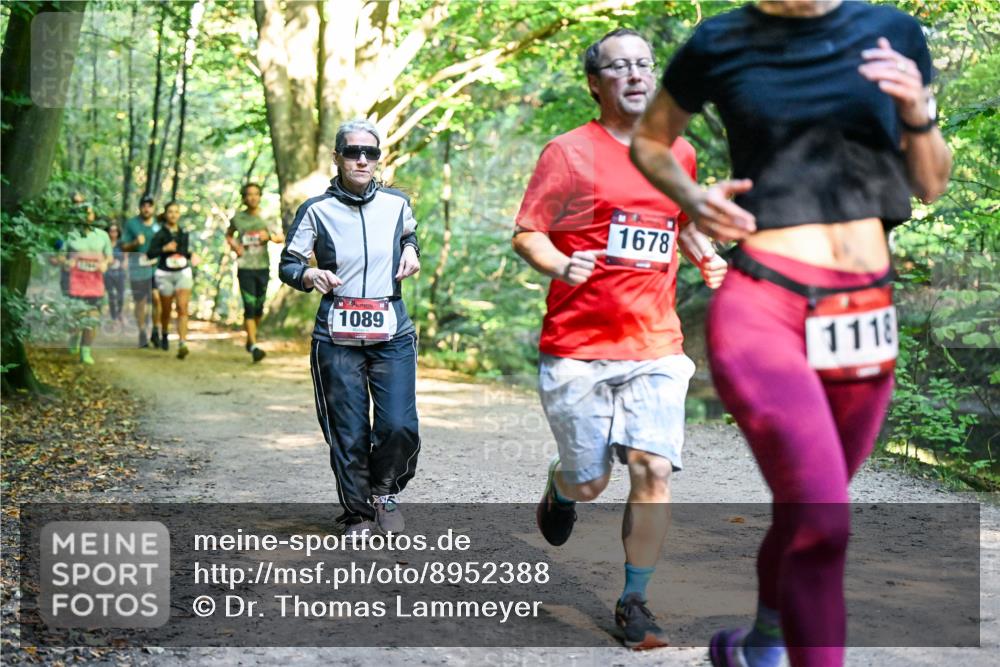 28.09.2025 - 33. Volkslauf durch das schöne Alstertal Dr. Thomas Lammeyer http://msf.ph/oto/8952388 28.09.2025 10:21:17 Laufen 1089, 1678, 1118 meine-sportfotos.de