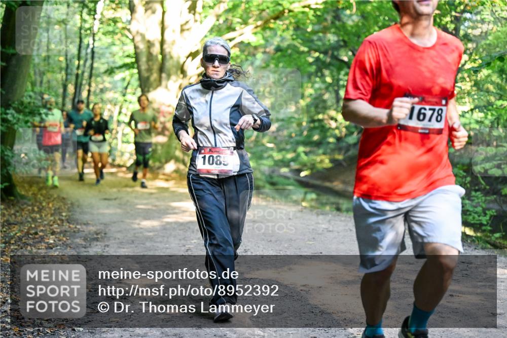 28.09.2025 - 33. Volkslauf durch das schöne Alstertal Dr. Thomas Lammeyer http://msf.ph/oto/8952392 28.09.2025 10:21:17 Laufen 1085, 1678 meine-sportfotos.de
