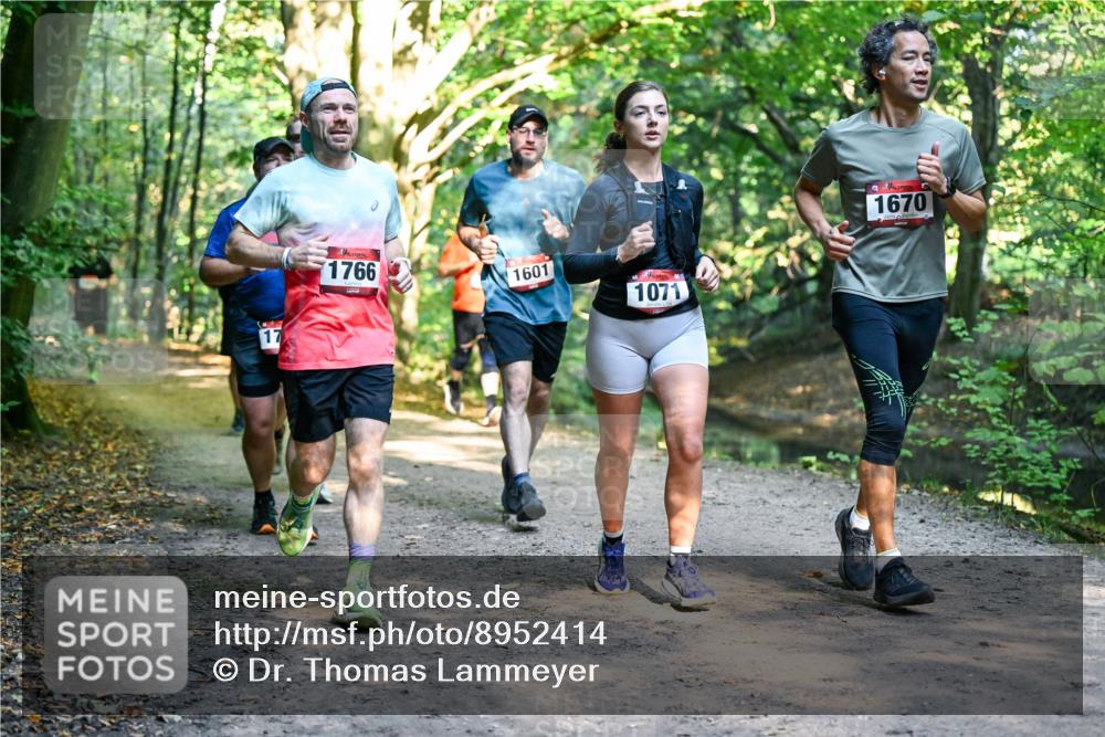 28.09.2025 - 33. Volkslauf durch das schöne Alstertal Dr. Thomas Lammeyer http://msf.ph/oto/8952414 28.09.2025 10:21:22 Laufen 17, 1766, 1601, 1071, 1670 meine-sportfotos.de