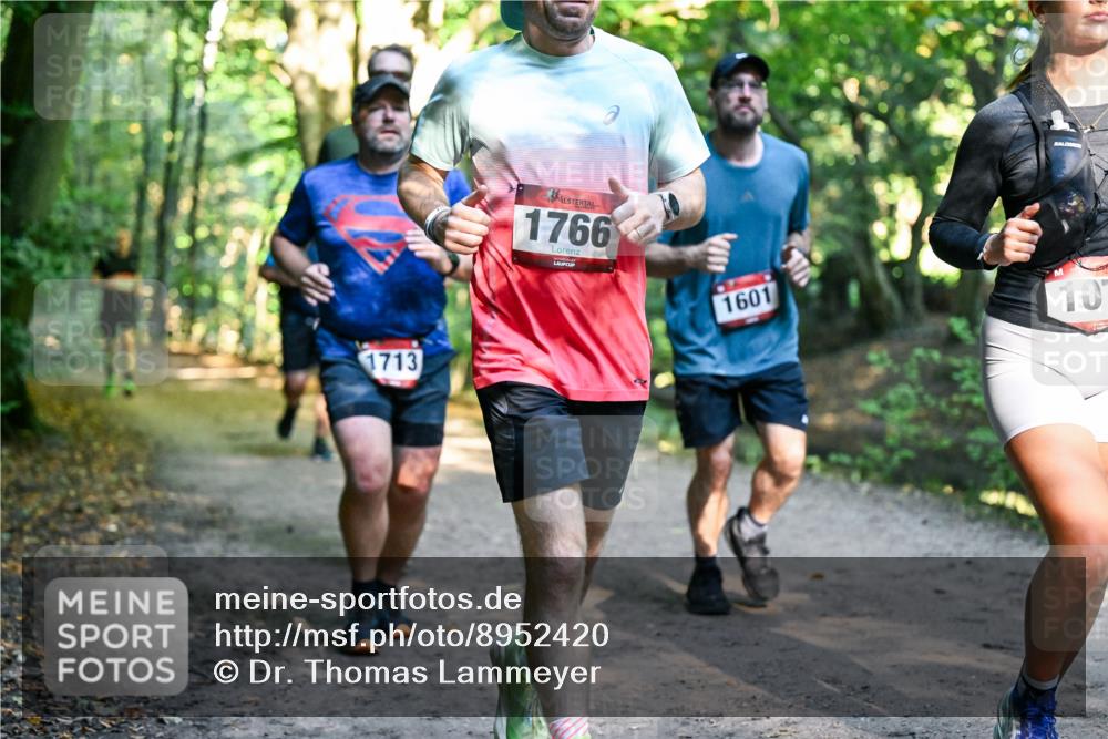 28.09.2025 - 33. Volkslauf durch das schöne Alstertal Dr. Thomas Lammeyer http://msf.ph/oto/8952420 28.09.2025 10:21:23 Laufen 1713, 1766, 1601, 10 meine-sportfotos.de