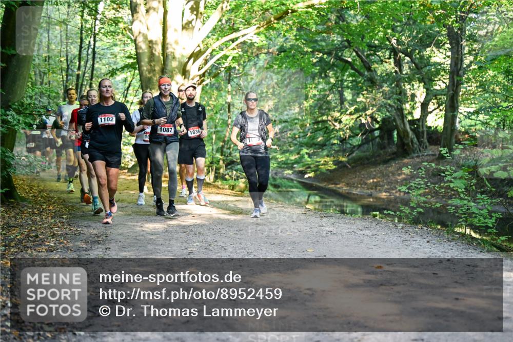 28.09.2025 - 33. Volkslauf durch das schöne Alstertal Dr. Thomas Lammeyer http://msf.ph/oto/8952459 28.09.2025 10:21:35 Laufen 1748, 1102, 10, 1087, 1834 meine-sportfotos.de