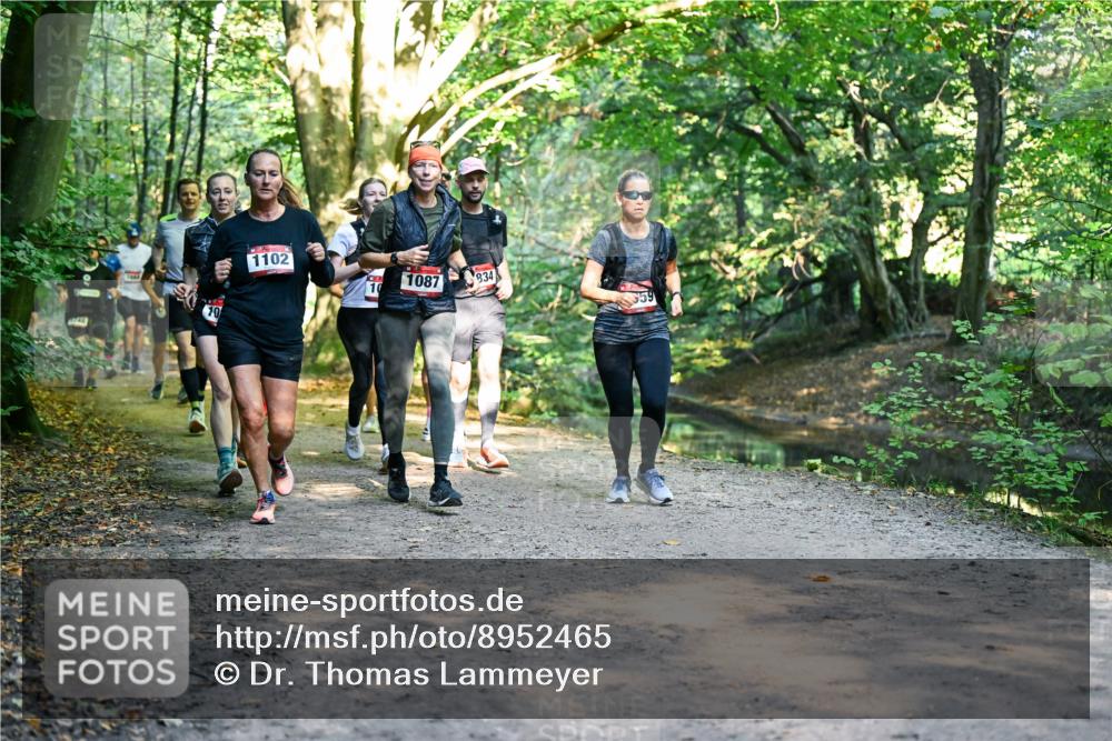 28.09.2025 - 33. Volkslauf durch das schöne Alstertal Dr. Thomas Lammeyer http://msf.ph/oto/8952465 28.09.2025 10:21:36 Laufen 10, 1102, 10, 1087, 834 meine-sportfotos.de