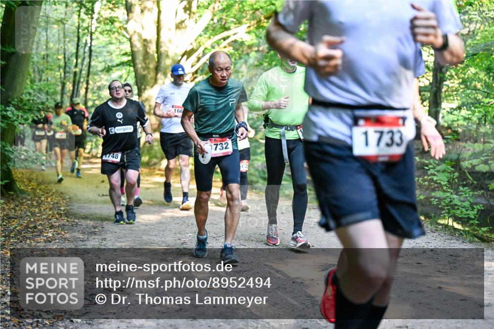 28.09.2025 - 33. Volkslauf durch das schöne Alstertal Dr. Thomas Lammeyer http://msf.ph/oto/8952494 28.09.2025 10:21:41 Laufen 166, 748, 1732, 02, 1733 meine-sportfotos.de