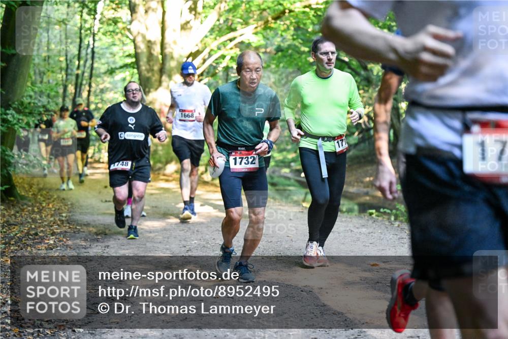 28.09.2025 - 33. Volkslauf durch das schöne Alstertal Dr. Thomas Lammeyer http://msf.ph/oto/8952495 28.09.2025 10:21:41 Laufen 1748, 1668, 1732, 17, 17 meine-sportfotos.de