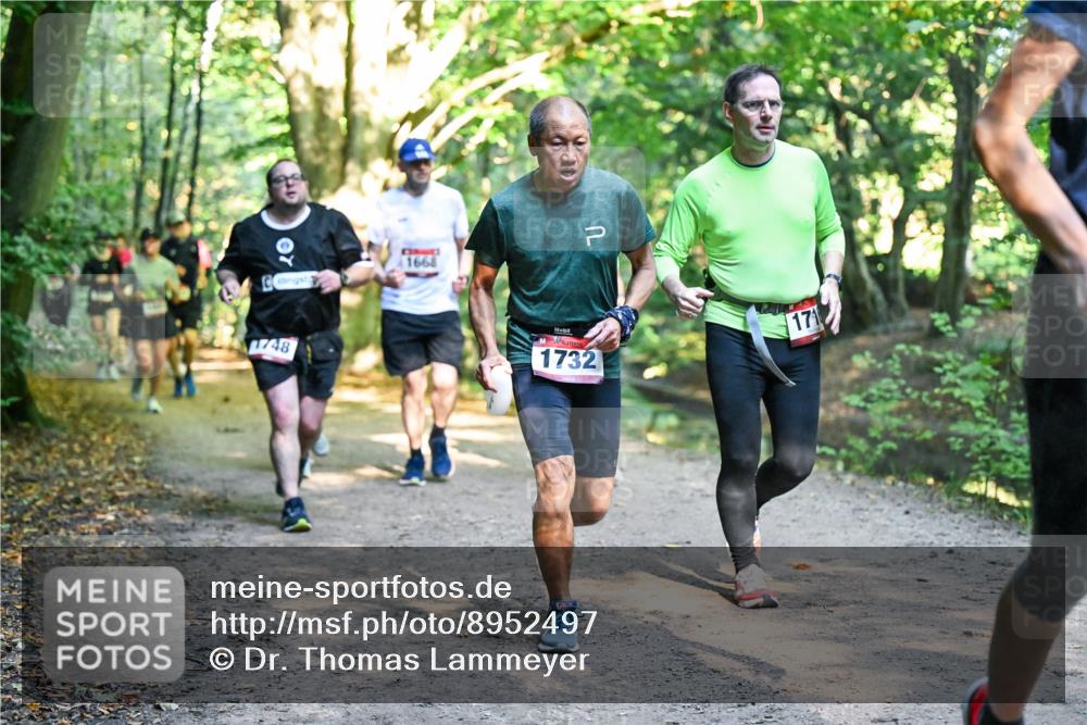 28.09.2025 - 33. Volkslauf durch das schöne Alstertal Dr. Thomas Lammeyer http://msf.ph/oto/8952497 28.09.2025 10:21:41 Laufen 1668, 1748, 1732, 171 meine-sportfotos.de