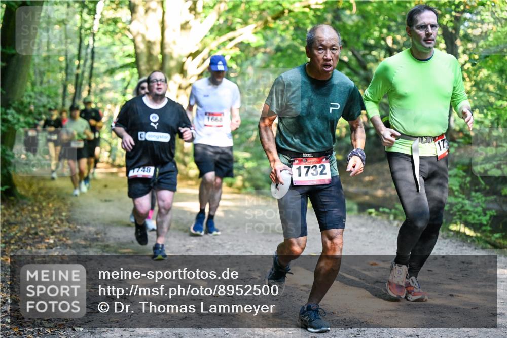 28.09.2025 - 33. Volkslauf durch das schöne Alstertal Dr. Thomas Lammeyer http://msf.ph/oto/8952500 28.09.2025 10:21:42 Laufen 1748, 1661, 1732, 17 meine-sportfotos.de