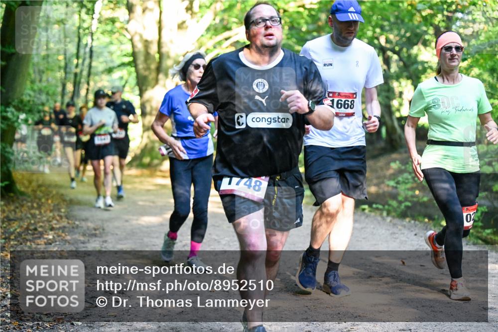 28.09.2025 - 33. Volkslauf durch das schöne Alstertal Dr. Thomas Lammeyer http://msf.ph/oto/8952510 28.09.2025 10:21:43 Laufen 1668, 1748, 02 meine-sportfotos.de