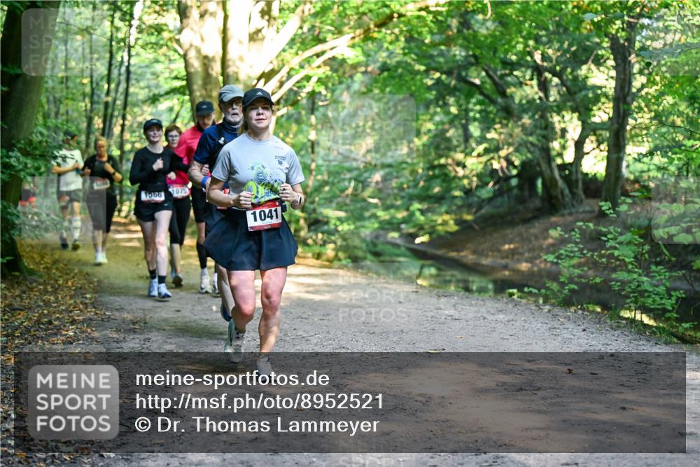 28.09.2025 - 33. Volkslauf durch das schöne Alstertal Dr. Thomas Lammeyer http://msf.ph/oto/8952521 28.09.2025 10:21:46 Laufen 1566, 1075, 1041 meine-sportfotos.de