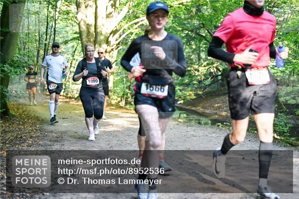 28.09.2025 - 33. Volkslauf durch das schöne Alstertal Dr. Thomas Lammeyer http://msf.ph/oto/8952536 28.09.2025 10:21:49 Laufen 064, 1080, 1579, 1701, 1566 meine-sportfotos.de